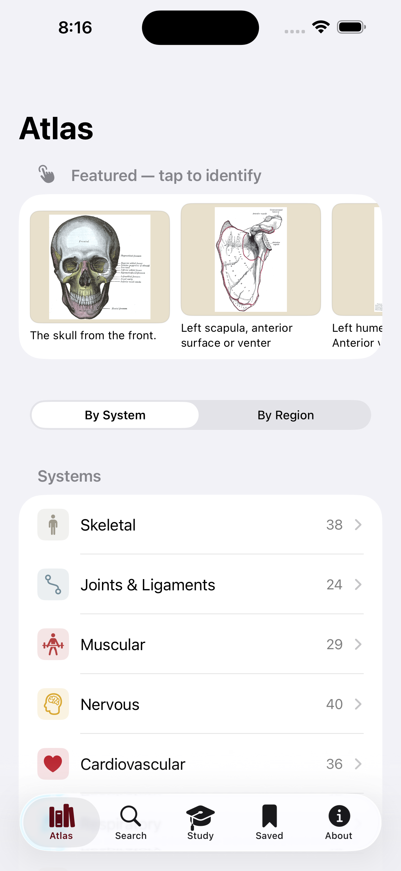 Anatome app interface